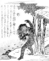 176219 B