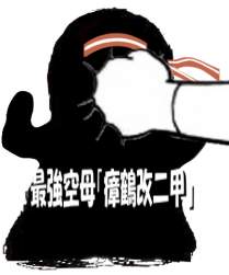84455 B