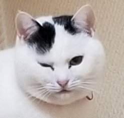 9371 B