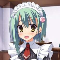 50234 B