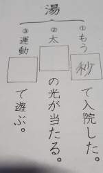 204877 B