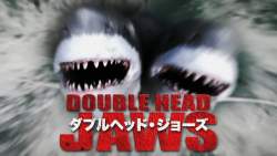 24232 B
